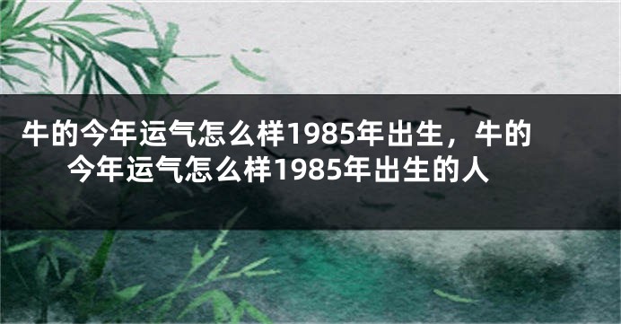 牛的今年运气怎么样1985年出生，牛的今年运气怎么样1985年出生的人