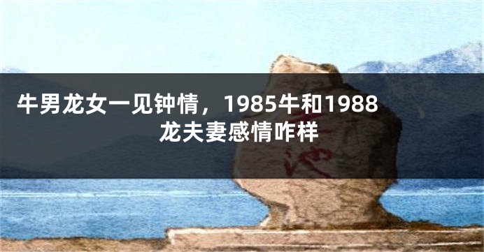 牛男龙女一见钟情，1985牛和1988龙夫妻感情咋样
