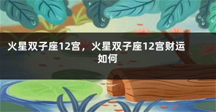 火星双子座12宫，火星双子座12宫财运如何