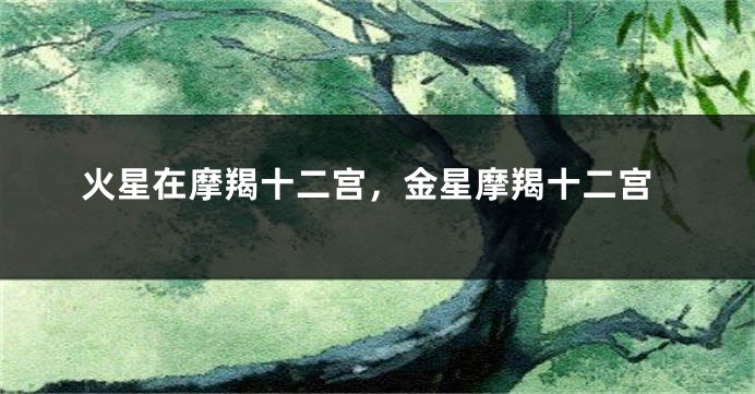 火星在摩羯十二宫，金星摩羯十二宫