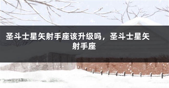 圣斗士星矢射手座该升级吗，圣斗士星矢 射手座