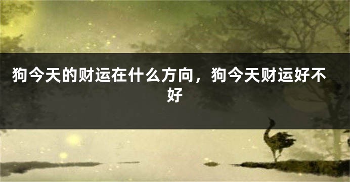 狗今天的财运在什么方向，狗今天财运好不好