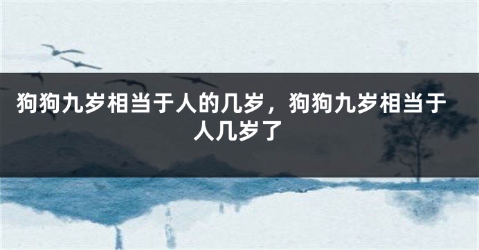 狗狗九岁相当于人的几岁，狗狗九岁相当于人几岁了