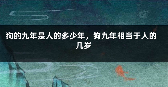 狗的九年是人的多少年，狗九年相当于人的几岁