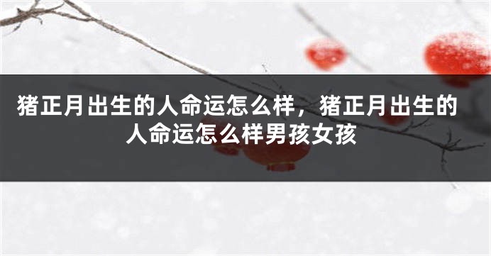 猪正月出生的人命运怎么样，猪正月出生的人命运怎么样男孩女孩