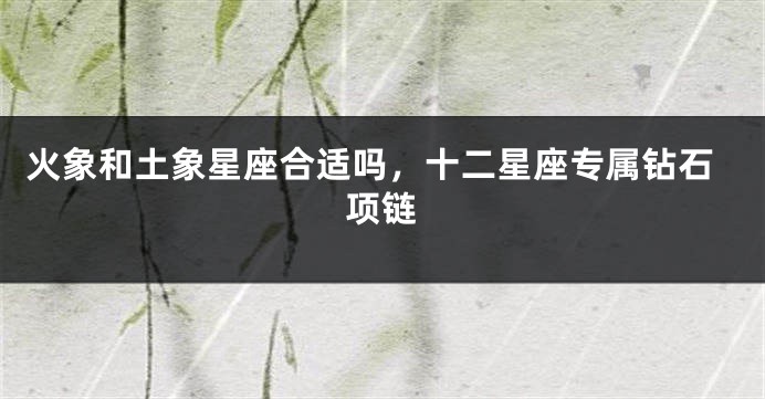 火象和土象星座合适吗，十二星座专属钻石项链