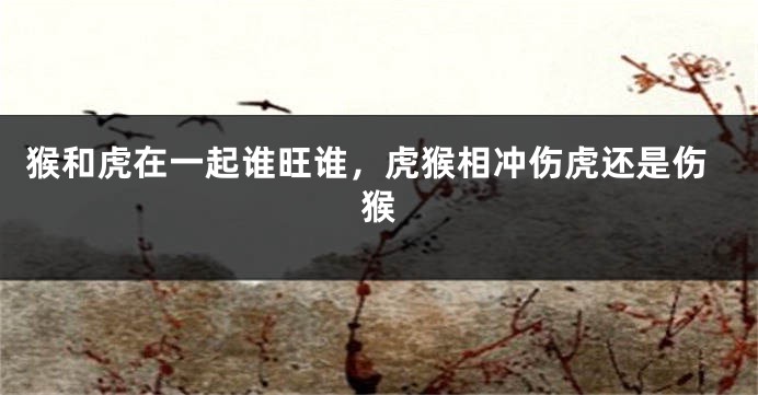 猴和虎在一起谁旺谁，虎猴相冲伤虎还是伤猴
