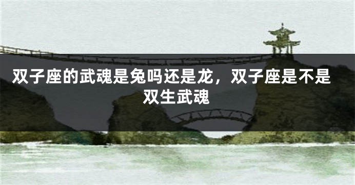 双子座的武魂是兔吗还是龙，双子座是不是双生武魂