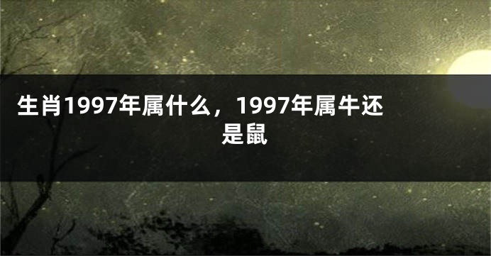生肖1997年属什么，1997年属牛还是鼠