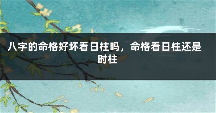 八字的命格好坏看日柱吗，命格看日柱还是时柱