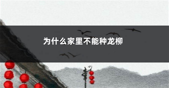 为什么家里不能种龙柳