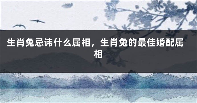 生肖兔忌讳什么属相，生肖兔的最佳婚配属相
