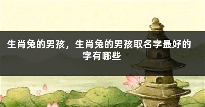 生肖兔的男孩，生肖兔的男孩取名字最好的字有哪些