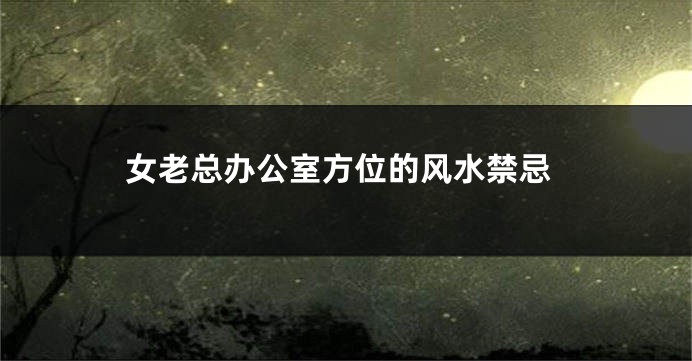 女老总办公室方位的风水禁忌