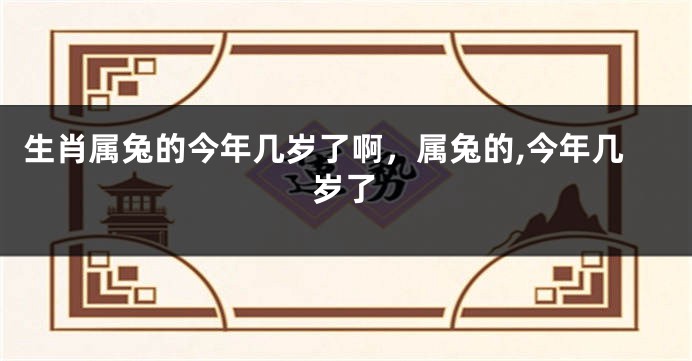 生肖属兔的今年几岁了啊，属兔的,今年几岁了