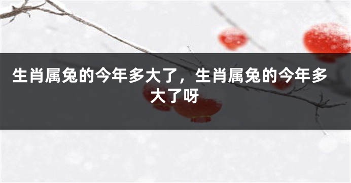 生肖属兔的今年多大了，生肖属兔的今年多大了呀
