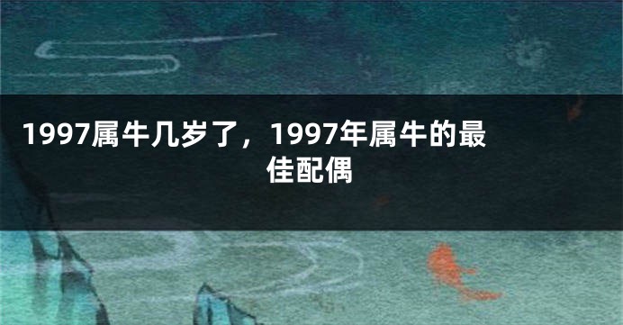 1997属牛几岁了，1997年属牛的最佳配偶