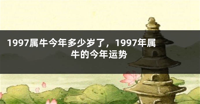 1997属牛今年多少岁了,1997年属牛的今年运势