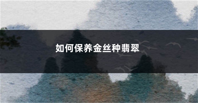 如何保养金丝种翡翠