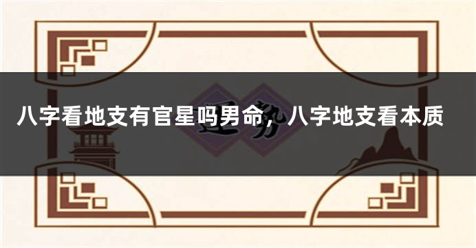 八字看地支有官星吗男命，八字地支看本质