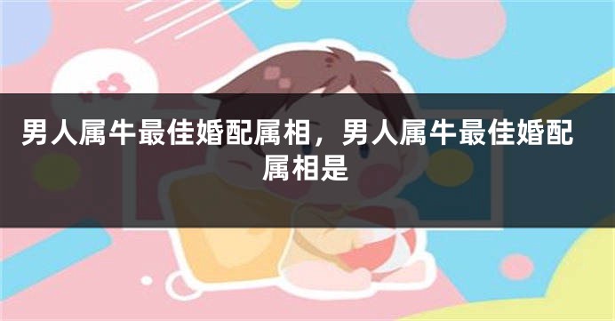 男人属牛最佳婚配属相，男人属牛最佳婚配属相是