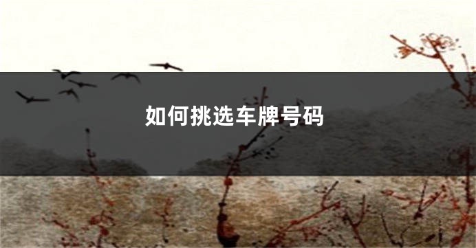 如何挑选车牌号码