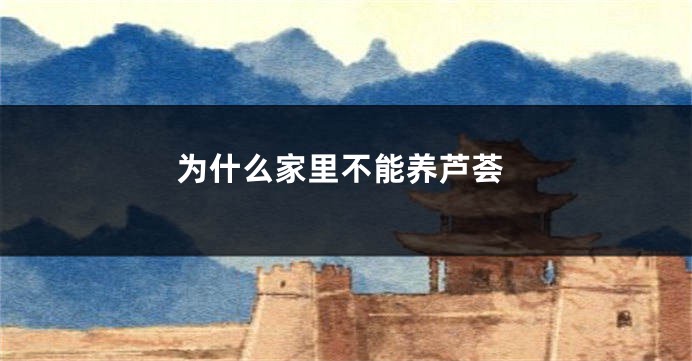 为什么家里不能养芦荟