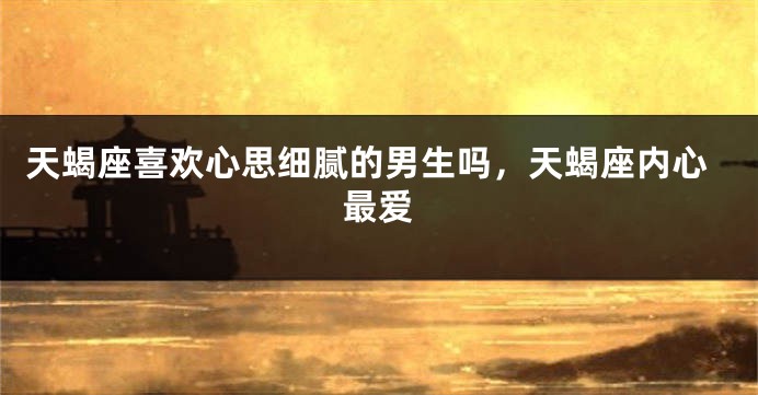 天蝎座喜欢心思细腻的男生吗，天蝎座内心最爱