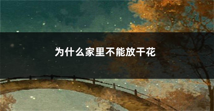 为什么家里不能放干花
