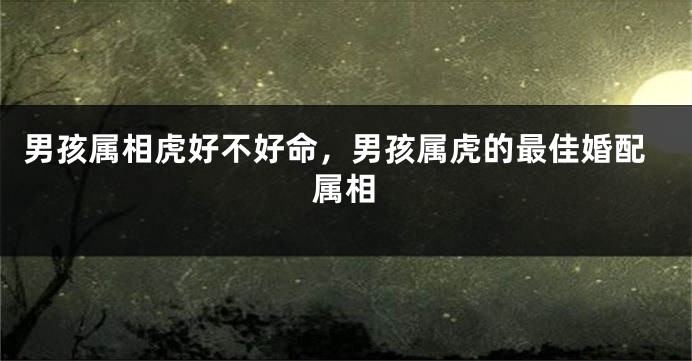 男孩属相虎好不好命，男孩属虎的最佳婚配属相