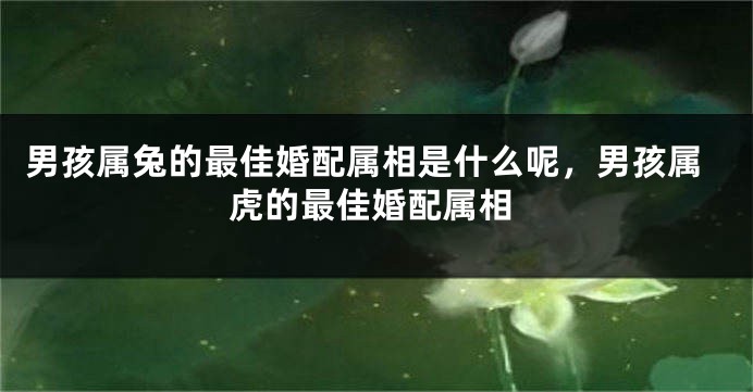 男孩属兔的最佳婚配属相是什么呢，男孩属虎的最佳婚配属相