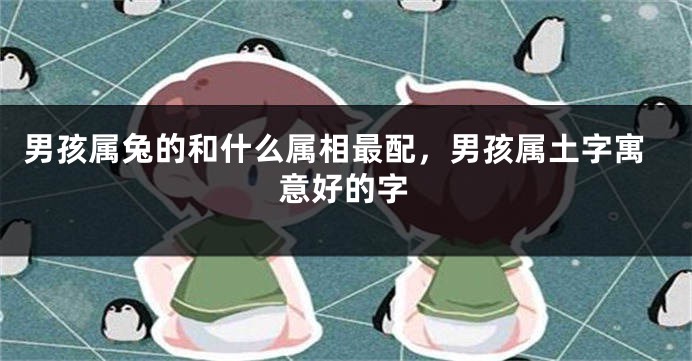 男孩属兔的和什么属相最配，男孩属土字寓意好的字