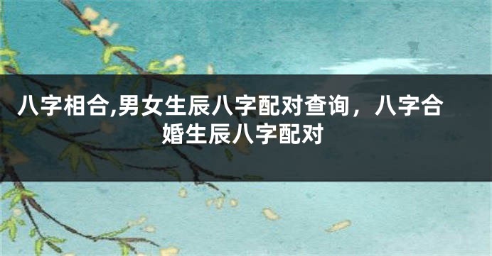 八字相合,男女生辰八字配对查询,八字合婚生辰八字配对