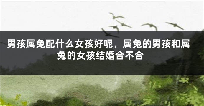 男孩属兔配什么女孩好呢，属兔的男孩和属兔的女孩结婚合不合