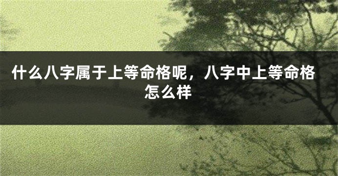 什么八字属于上等命格呢，八字中上等命格怎么样