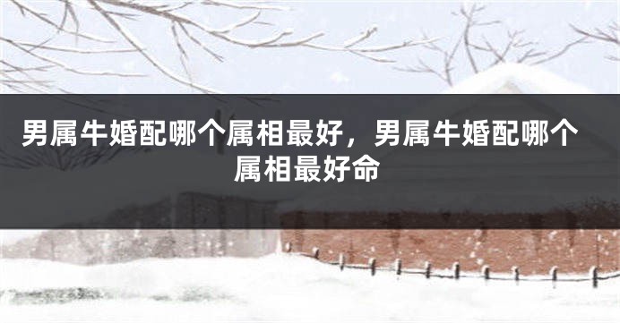 男属牛婚配哪个属相最好，男属牛婚配哪个属相最好命