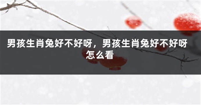 男孩生肖兔好不好呀，男孩生肖兔好不好呀怎么看