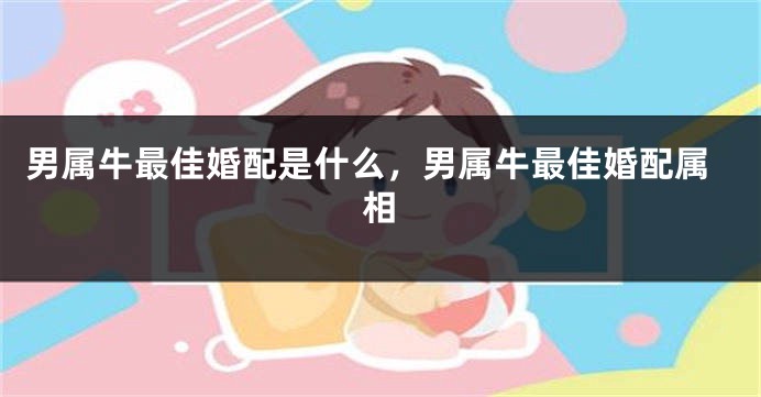 男属牛最佳婚配是什么，男属牛最佳婚配属相