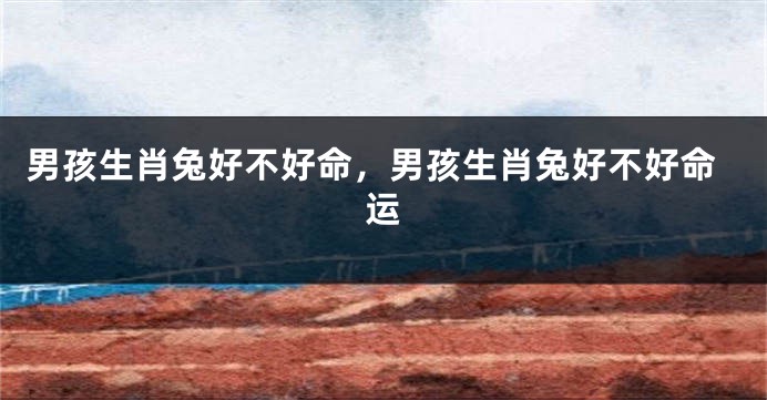 男孩生肖兔好不好命，男孩生肖兔好不好命运