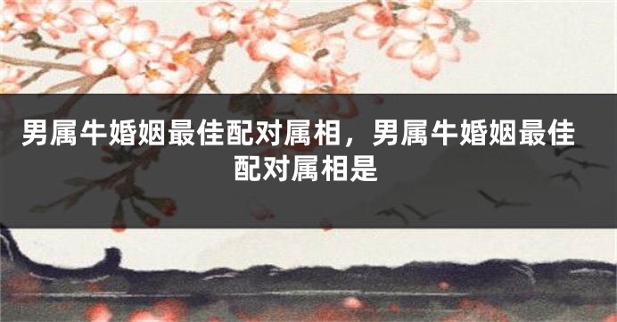 男属牛婚姻最佳配对属相，男属牛婚姻最佳配对属相是