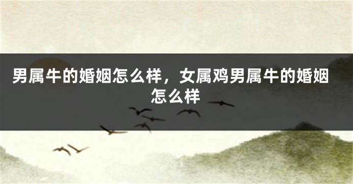 男属牛的婚姻怎么样，女属鸡男属牛的婚姻怎么样
