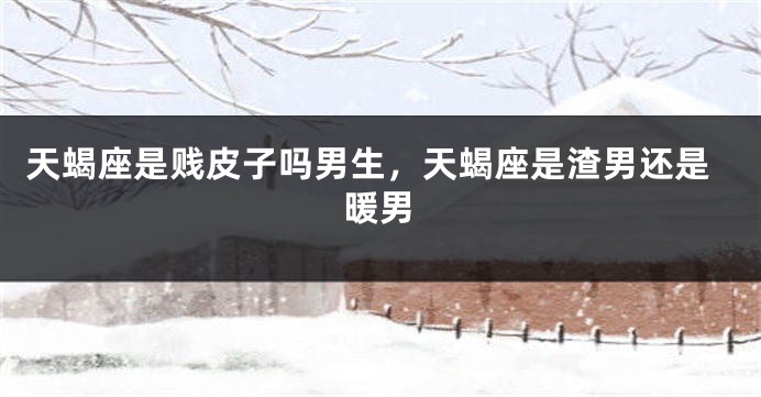 天蝎座是贱皮子吗男生，天蝎座是渣男还是暖男