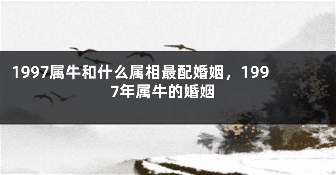 1997属牛和什么属相最配婚姻，1997年属牛的婚姻