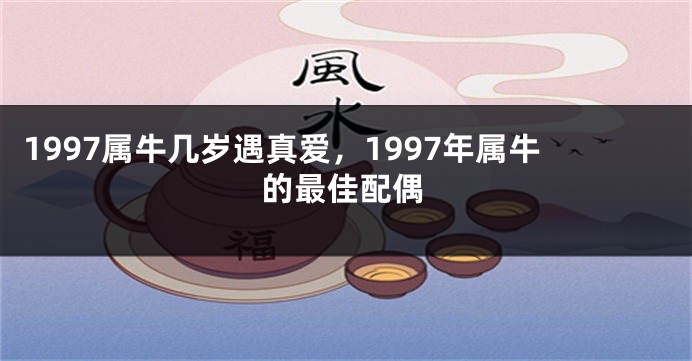 1997属牛几岁遇真爱，1997年属牛的最佳配偶