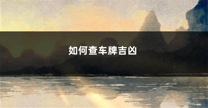 如何查车牌吉凶