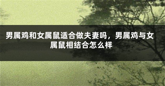 男属鸡和女属鼠适合做夫妻吗，男属鸡与女属鼠相结合怎么样