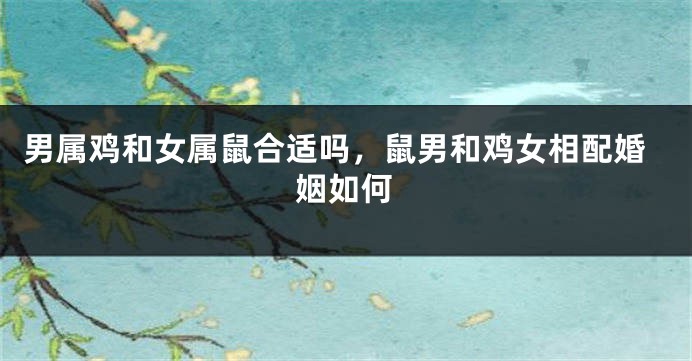 男属鸡和女属鼠合适吗，鼠男和鸡女相配婚姻如何