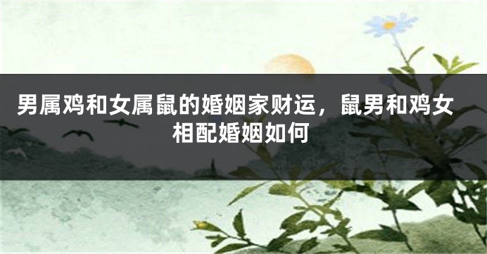 男属鸡和女属鼠的婚姻家财运，鼠男和鸡女相配婚姻如何