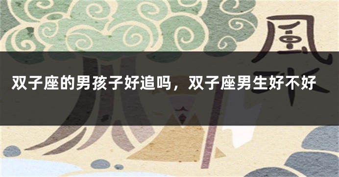 双子座的男孩子好追吗，双子座男生好不好