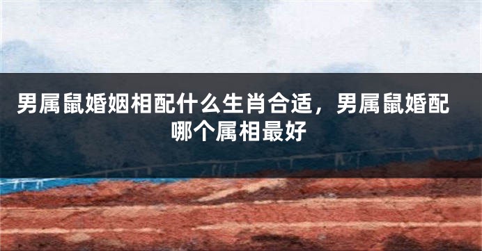 男属鼠婚姻相配什么生肖合适，男属鼠婚配哪个属相最好